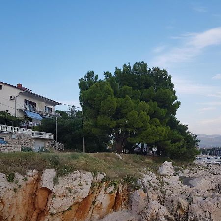 Apartments Jenny Novi Vinodolski Dış mekan fotoğraf